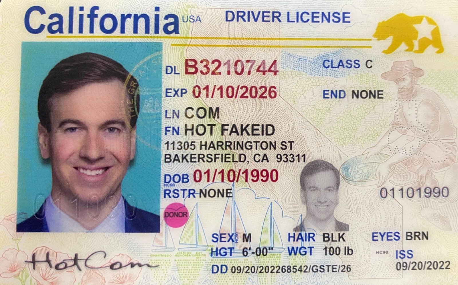 California-fake-id-scaled-e1680876820401