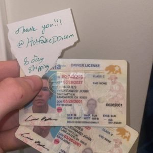 California-fake-id-hot