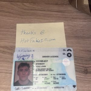 Hot-Wyoming-Fake-id